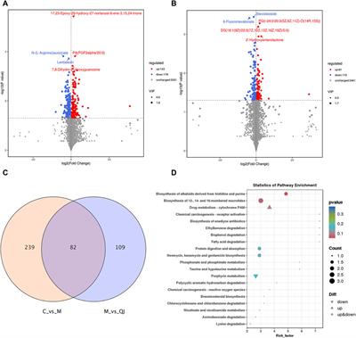 Gut microbes combined with metabolomics reveal the protective effects of Qijia Rougan decoction against CCl4-induced hepatic fibrosis